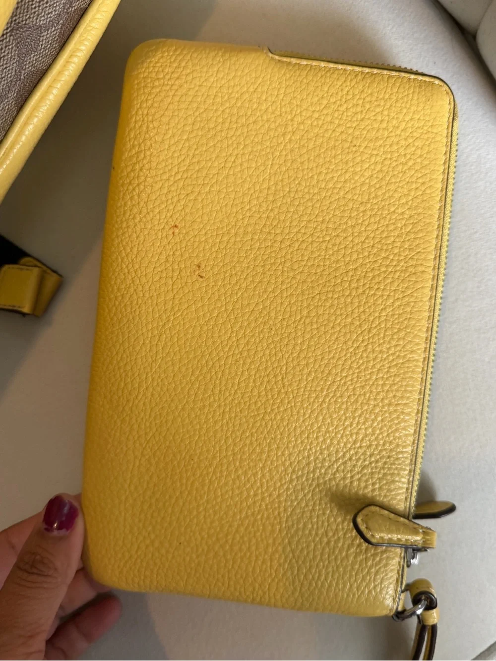 Butter Yellow Coach Backpack and Pouch